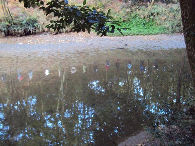 109- Reflexos.JPG